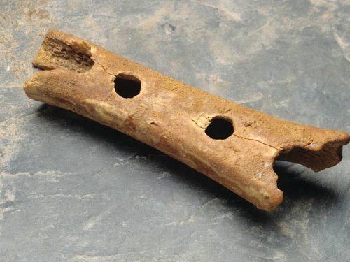 Neandertal flute: The oldest musical instrument in the world